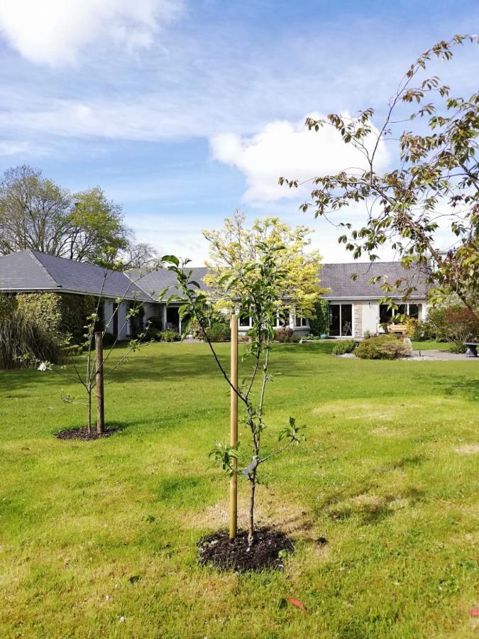 Applecroft House Bed & Breakfast Killarney Dış mekan fotoğraf