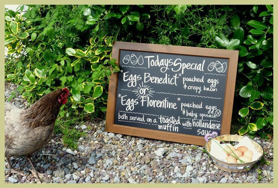 Applecroft House Bed & Breakfast Killarney Dış mekan fotoğraf